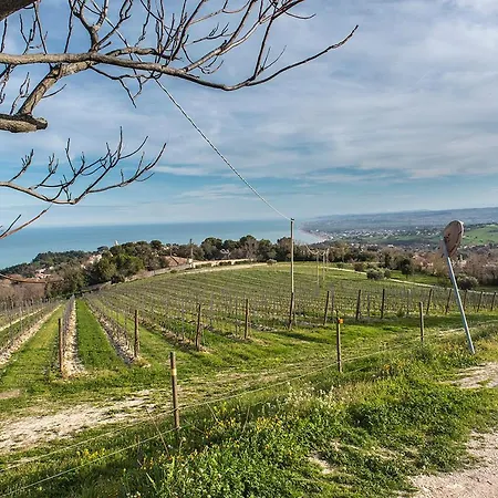 S294 - Sirolo, Meraviglioso Trilocale Con Terrazzo E Vista Mare * סירולו